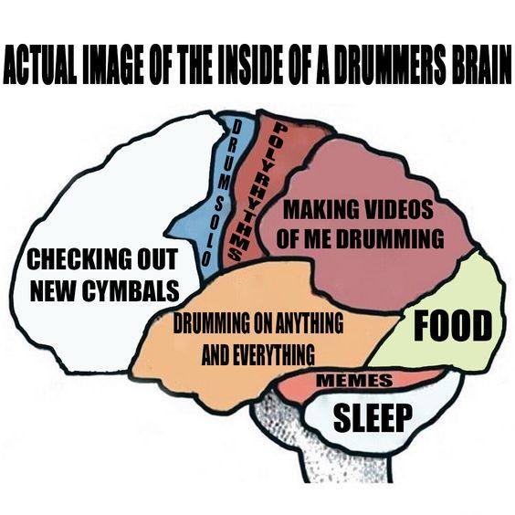 drummer brain | Zero to Drum Drummer Brain